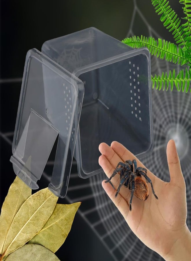 DQITJ 4 Pcs Insect Spider Terrariums Breeding Box Hatching Container Small Reptile Arboreal Spider Mantis Scorpion Centipede Acrylic Breeding Box - Image 4